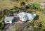 113 South Manakau Road, Manakau, Otaki - Carousel 3
