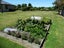 257 Pukeuri-Oamaru Road, Pukeuri, Oamaru - Carousel 14