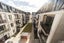 6/11F Newtown Avenue, Newtown, Wellington - Carousel 9