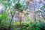 54B Harambee Road, Taiharuru, Parua Bay - Carousel 27
