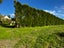 10 Riverlea Road, Whenuapai, Auckland - Carousel 8