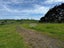 4584 State Highway 12, Dargaville - Carousel 15