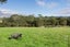 22 Houkura Place, Taupaki, Henderson - Carousel 25