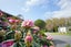 420 Mcivor Road, Myross Bush - Carousel 21