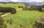 920 Norfolk Road, Carterton - Carousel 1