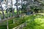 56 Scottys Camp Road, Parore - Carousel 19