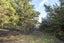 4 Kellocks Road, Waikari, Waikari - Carousel 7