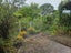 42 Sylvania Crescent, Lynfield, Auckland - Carousel 9