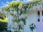 22 Greta Street, South Hill, Oamaru - Carousel 3