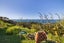 8 Ataahua Rise, Waiotahe, Opotiki - Carousel 21