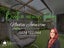 11F Sturges Road, Henderson, Auckland - Carousel 12
