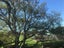 156A Ennis Avenue, Pakuranga Heights, Auckland - Carousel 15