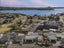 8 Lorrigan Way, Welcome Bay, Tauranga - Carousel 1