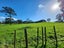 76 Campbell Road, One Tree Hill, Auckland - Carousel 17