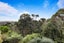 62 Kopiko Road, Titirangi, Auckland - Carousel 16