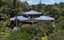 66B Rataroa Road, Kaeo, Kaeo - Carousel 5