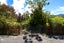 177 Evans Street, Opoho, Dunedin - Carousel 21
