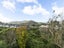 1/6 Ellwood Place, Churton Park, Wellington - Carousel 21