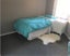 29 Wiltshire Drive, Huntington, Hamilton - Carousel 5