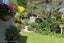 63 Inkerman Street, Renwick - Carousel 49