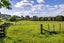 810 Pirongia Road, Pirongia, Te Awamutu - Carousel 18