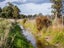 23 Settlement Road, Morison Bush, Greytown - Carousel 2