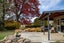 58 Hawley Road, Blackmans, Alexandra - Carousel 17