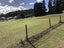970 Kahikatea Flat Road, Kaukapakapa - Carousel 11