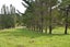 69 Matakohe Wharf Road, Matakohe, Matakohe - Carousel 48