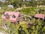 2 Wrights Hill Road, Karori, Wellington - Carousel 1