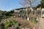 187 Cambridge Road, Bethlehem, Tauranga - Carousel 23