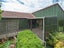 29 Bailey Avenue, Claudelands, Hamilton - Carousel 16