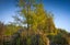 1/1132 Old West Coast Road, Christchurch - Carousel 24