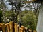 51B Rimutaka Place, Titirangi, Auckland - Carousel 5