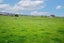332 Waerenga Road, Te Kauwhata, Te Kauwhata - Carousel 22