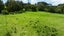 369 Mangakura Road, Helensville, Helensville - Carousel 31