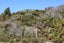 1257 Ruatapu-Ross Road, Ross, Ross - Carousel 24