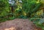 19 Tainui Road, Titirangi, Auckland - Carousel 26