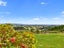 229A Warner Road, Oropi, Tauranga - Carousel 27