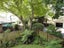 165B Fraser Street, Tauranga South, Tauranga - Carousel 8