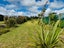 4675B Far North Road, Houhora, Pukenui - Carousel 29