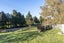 208 Adelaide Road, Dannevirke, Dannevirke - Carousel 18
