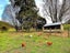 846 Old Mountain Road, Waitetuna - Carousel 36