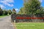3 Kiokio Place, Swanson, Auckland - Carousel 27
