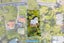 261 Titirangi Road, Titirangi, Auckland - Carousel 9