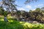 18A Bedford Street, Te Atatu South, Auckland - Carousel 15