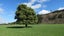 3957 Northbank Road, North Bank, Wairau Valley - Carousel 7