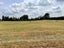 1918 Egmont Road, Kaimiro, Inglewood - Carousel 15