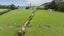 15 Boundary Road, East Gore, Gore - Carousel 32