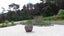 458C Hihi Road, Hihi, Mangōnui - Carousel 5